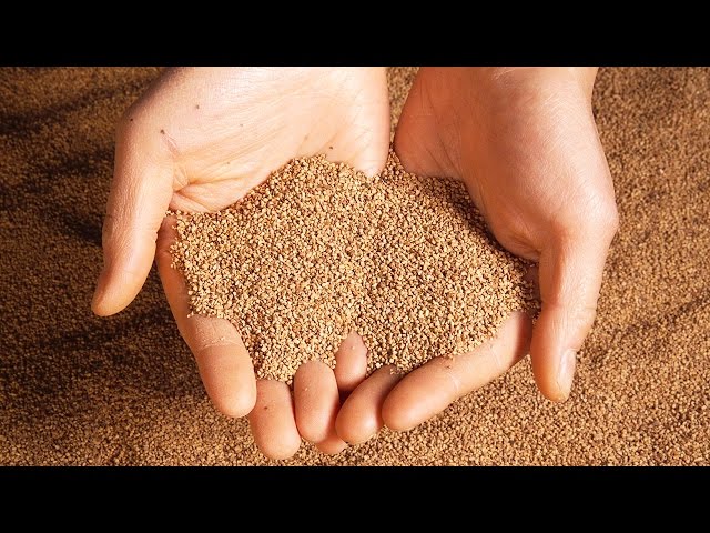 Is It Okay to Touch Mars?