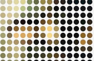 WHAT IS THIS?? ………. IMG! #39