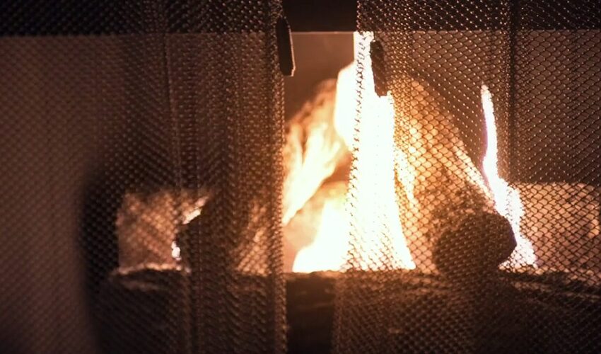 Contracts By ICE p Translated movies 2024