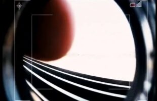 Seal Team 6 By VJ Junior Translated Movies 2024