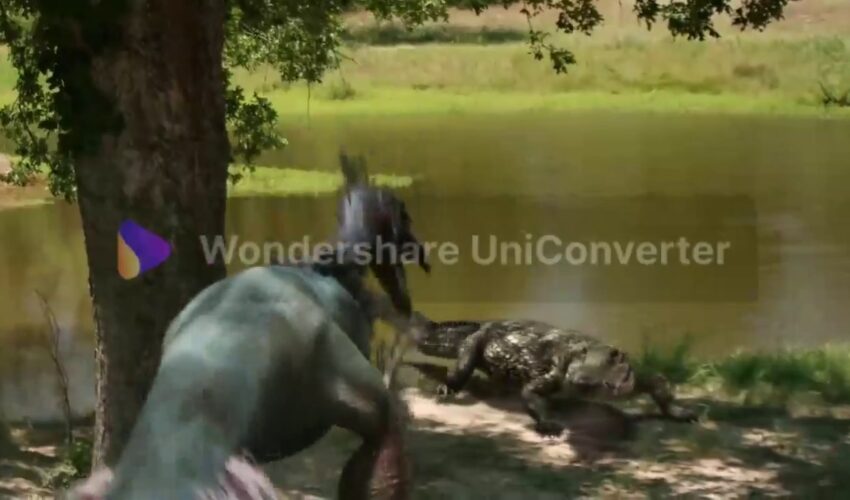 Terror Birds (2016)  movie [part 1