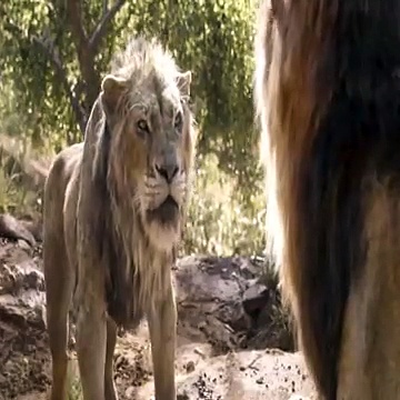 Raja Rimba movie 2021