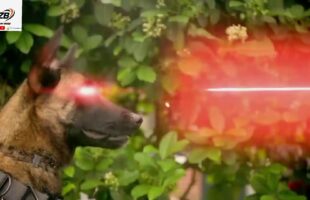 RADAR The Adventures Of Bionic Dog new movie full trailer