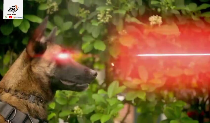 RADAR The Adventures Of Bionic Dog new movie full trailer