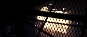 Best Action Movies 2016 – War Of The Dragon Full Movie – New Adventure Movies 2016 Hollywood