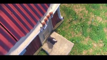 New Animation Movies 2018 Full Movies English – Kids movies – Comedy Movies – Cartoon Disney P/5