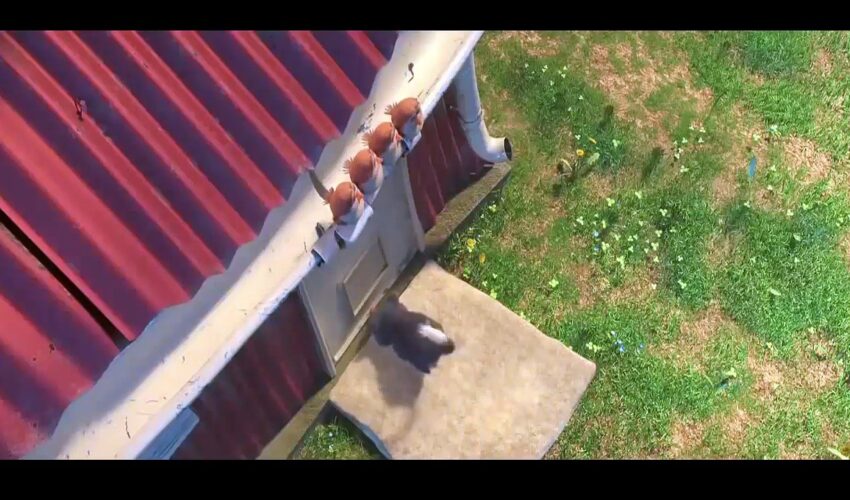 New Animation Movies 2018 Full Movies English – Kids movies – Comedy Movies – Cartoon Disney P/5