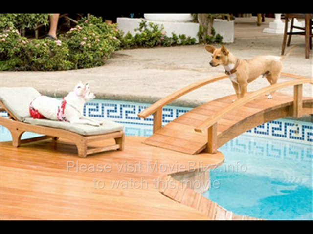 For the Love of a Dog (2008) part 1 of 15.