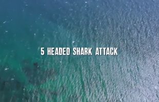 EL ATAQUE DEL TIBURÓN DE 5 CABEZAS