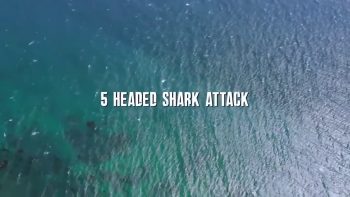 EL ATAQUE DEL TIBURÓN DE 5 CABEZAS