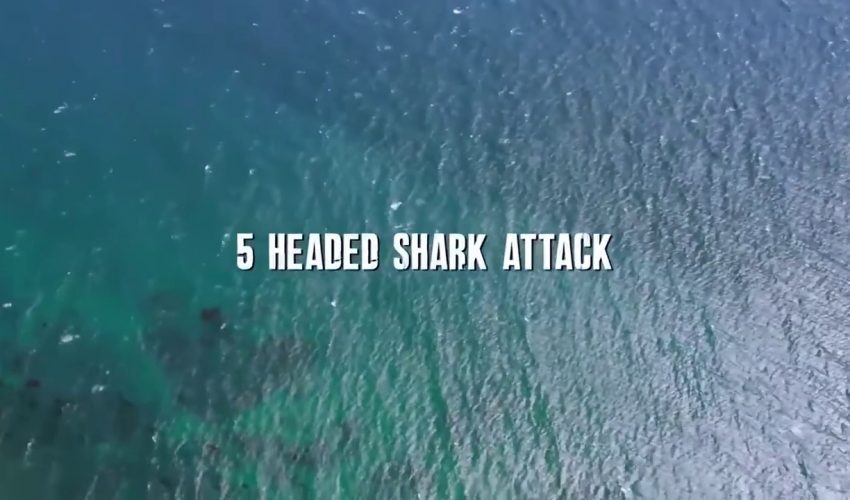 EL ATAQUE DEL TIBURÓN DE 5 CABEZAS