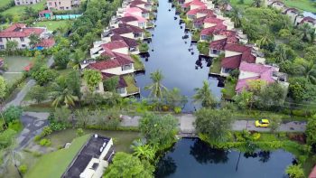 BLACK WIDOWS 2 By VJ CABS