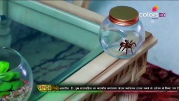 VISH 7 By VJ Kavin Translated Indian Movies