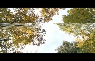 Código Alfa _ Película Completa Español Latino HD (1080p) _ Ciencia Ficción