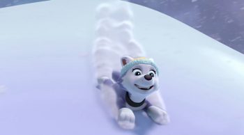 Paw Patrol Full Episode 2015 – New Cartoon Movies English 2015