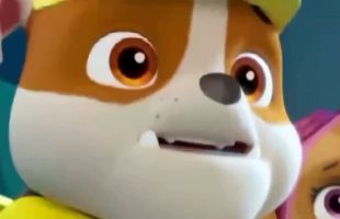 ᴴᴰ Best Paw Patrol Animation Movies For Kids 2016 ☆♥ New Cartoon Movies In Urdu The New Pup-Czb6DVgAJ0M