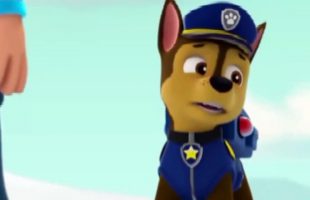 ᴴᴰ Best Paw Patrol Animation Movies For Kids 2016 ☆♥ New Cartoon Movies In Urdu The New Pup-Czb6DVgAJ0M