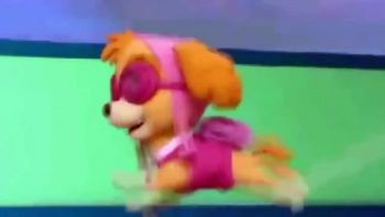 ᴴᴰ Best Paw Patrol Animation Movies For Kids 2016 ☆♥ New Cartoon Movies In Urdu The New Pup-Czb6DVgAJ0M