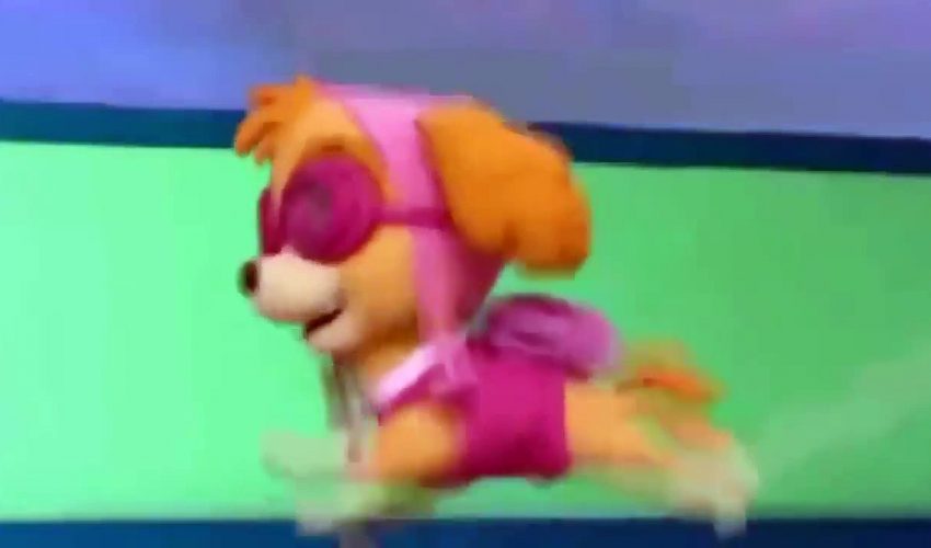 ᴴᴰ Best Paw Patrol Animation Movies For Kids 2016 ☆♥ New Cartoon Movies In Urdu The New Pup-Czb6DVgAJ0M