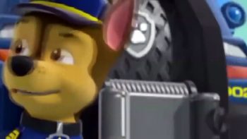 ᴴᴰ Best Paw Patrol Animation Movies For Kids 2016 ☆♥ New Cartoon Movies In Urdu The New Pup-Czb6DVgAJ0M