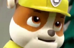 ᴴᴰ Best Animation Movies For Kids New Cartoon Movies In Urdu Pups Save a Floundering Francois-Tg4KBPLXl-30