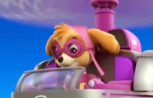 ᴴᴰ Best Animation Movies For Kids New Cartoon Movies In Urdu Pups Save a Floundering Francois-Tg4KBPLXl-36