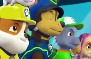 ᴴᴰ Best Kids Movies 2016 ☜♥☞ Pups Save the Three Little Pigs TV