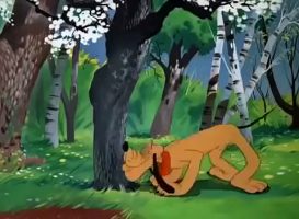 Best Cartoon For Kids 2017  Pluto Springtime for Pluto ,animated cartoons Movies comedy action tv series 2018