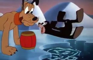 Best Cartoon For Kids 2017  Mickey Mouse Pluto Rescue Dog ,animated cartoons Movies comedy action tv series 2018