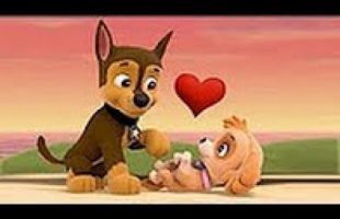 Paw Patrol Full Episodes English – Best Kids Movies Cartoon 2017 – Pups Save New Cartoon English