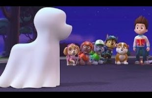 Paw Patrol Full Episodes English – Best Kids Movies Cartoon 2017 – Pups Save New Cartoon English