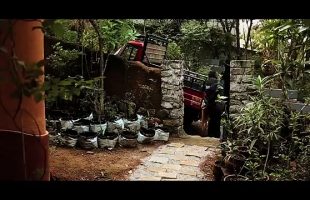 Romantic Full Movie Online _ Best Romantic Movie Full [THE PAITED HOUSE] English Movies Full Movies(360P)